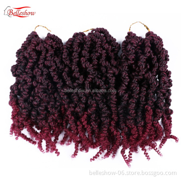 Hot sell 10 inch Passion Twist Hair Soft Ombre Colors pre twisted pre looped passion twist